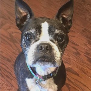 Meet your Posher, Alison